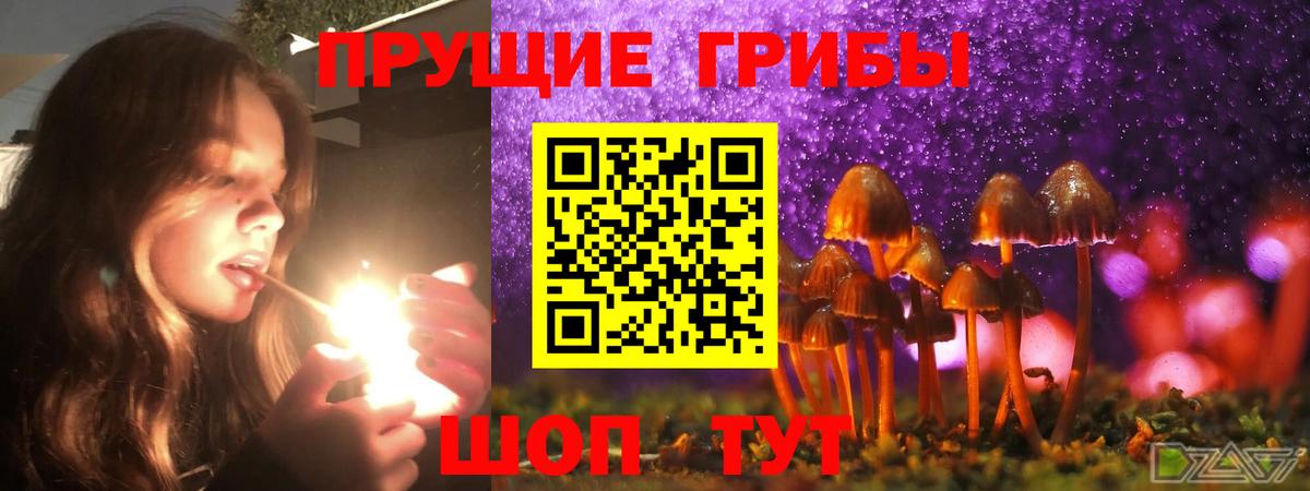 Муром  Псилоцибиновые грибы Cubensis  Вход с VPN 
